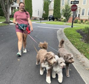 how to choose a dog walker in Gaithersburg